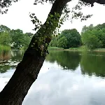 Feriehus Beim Stechlinsee *