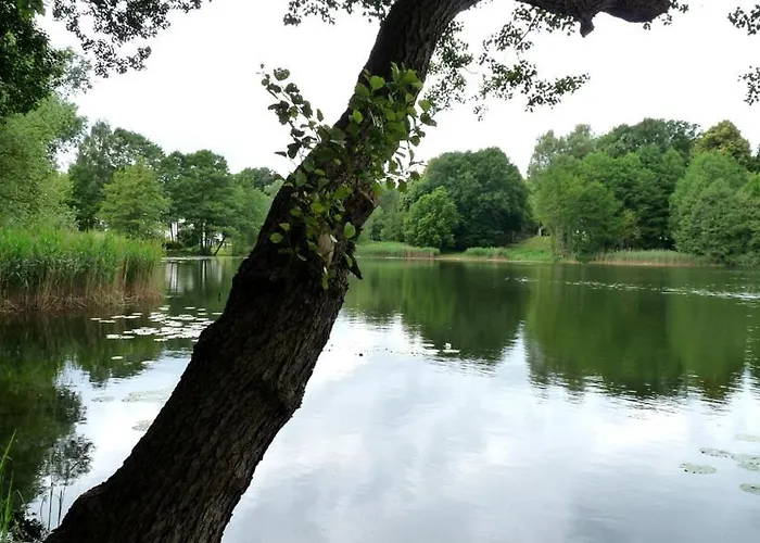 Holiday home Beim Stechlinsee *